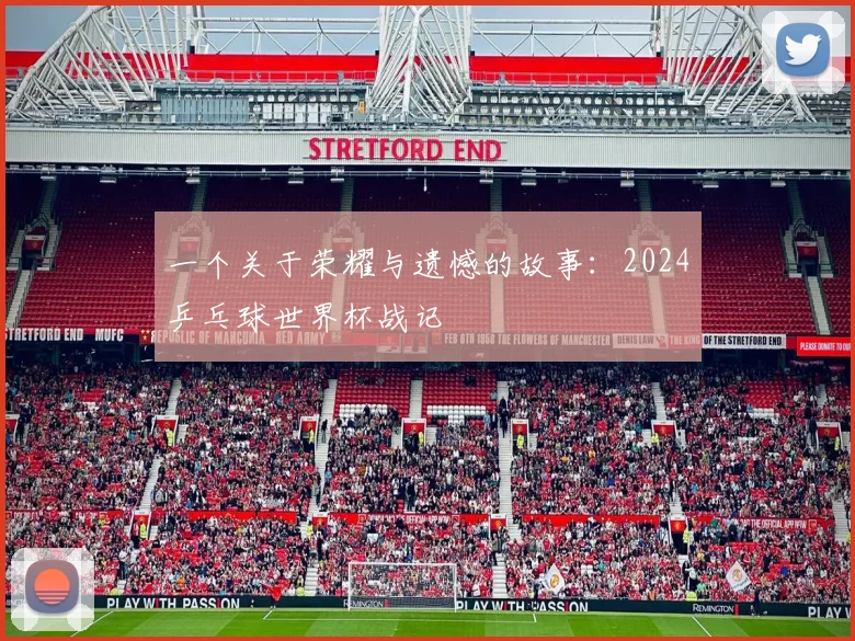 一个关于荣耀与遗憾的故事：2024乒乓球世界杯战记