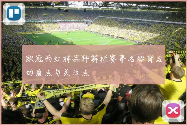 欧冠西红柿品种解析赛事名称背后的看点与关注点