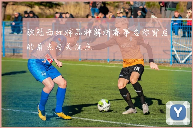 欧冠西红柿品种解析赛事名称背后的看点与关注点