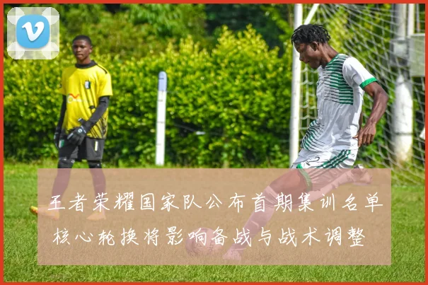 王者荣耀国家队公布首期集训名单 核心轮换将影响备战与战术调整
