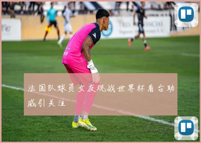 法国队球员女友观战世界杯看台助威引关注