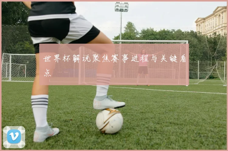 世界杯解说聚焦赛事进程与关键看点