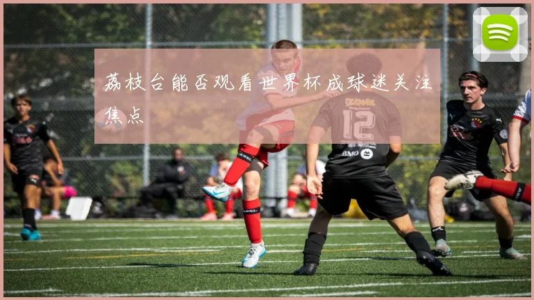 荔枝台能否观看世界杯成球迷关注焦点
