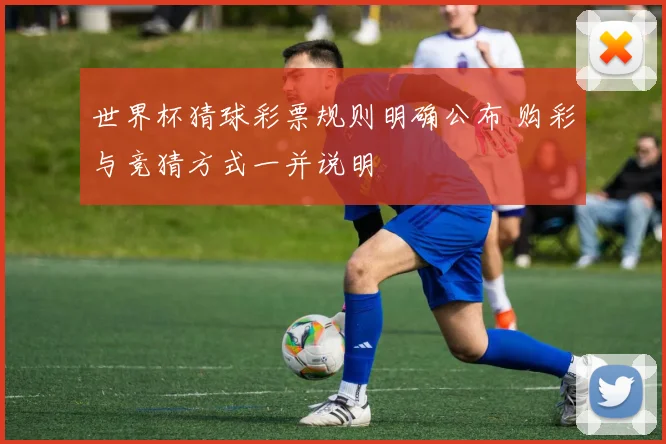 世界杯猜球彩票规则明确公布 购彩与竞猜方式一并说明