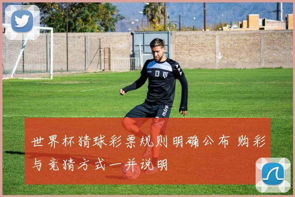 世界杯猜球彩票规则明确公布 购彩与竞猜方式一并说明