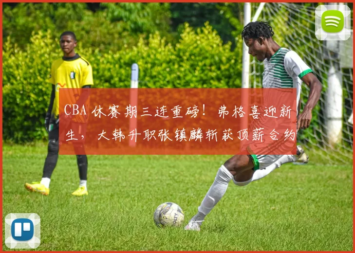 CBA 休赛期三连重磅！弗格喜迎新生，大韩升职张镇麟斩获顶薪合约