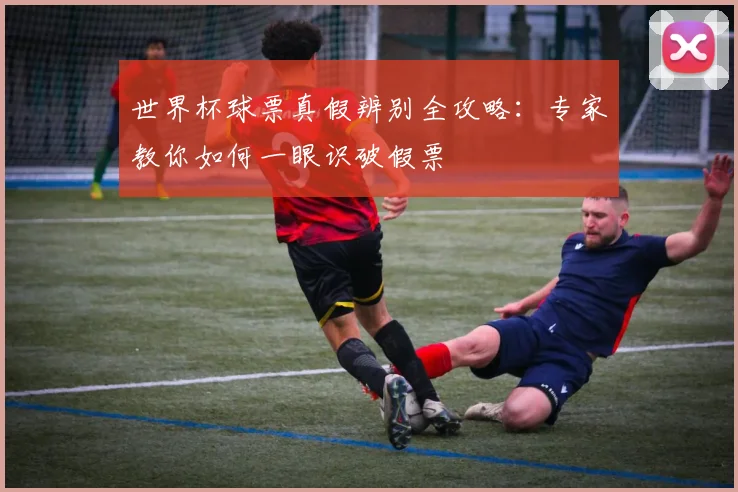 世界杯球票真假辨别全攻略：专家教你如何一眼识破假票